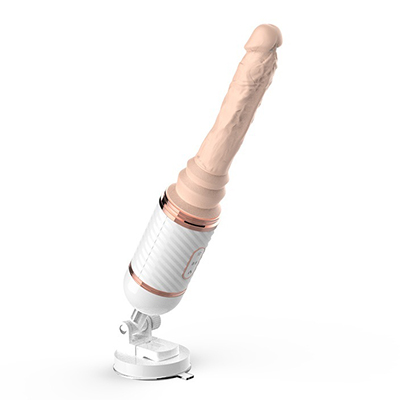Dildo ieviešana